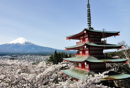 Excursión privada a Chureito Pagoda + Lago Kawaguchiko con guía